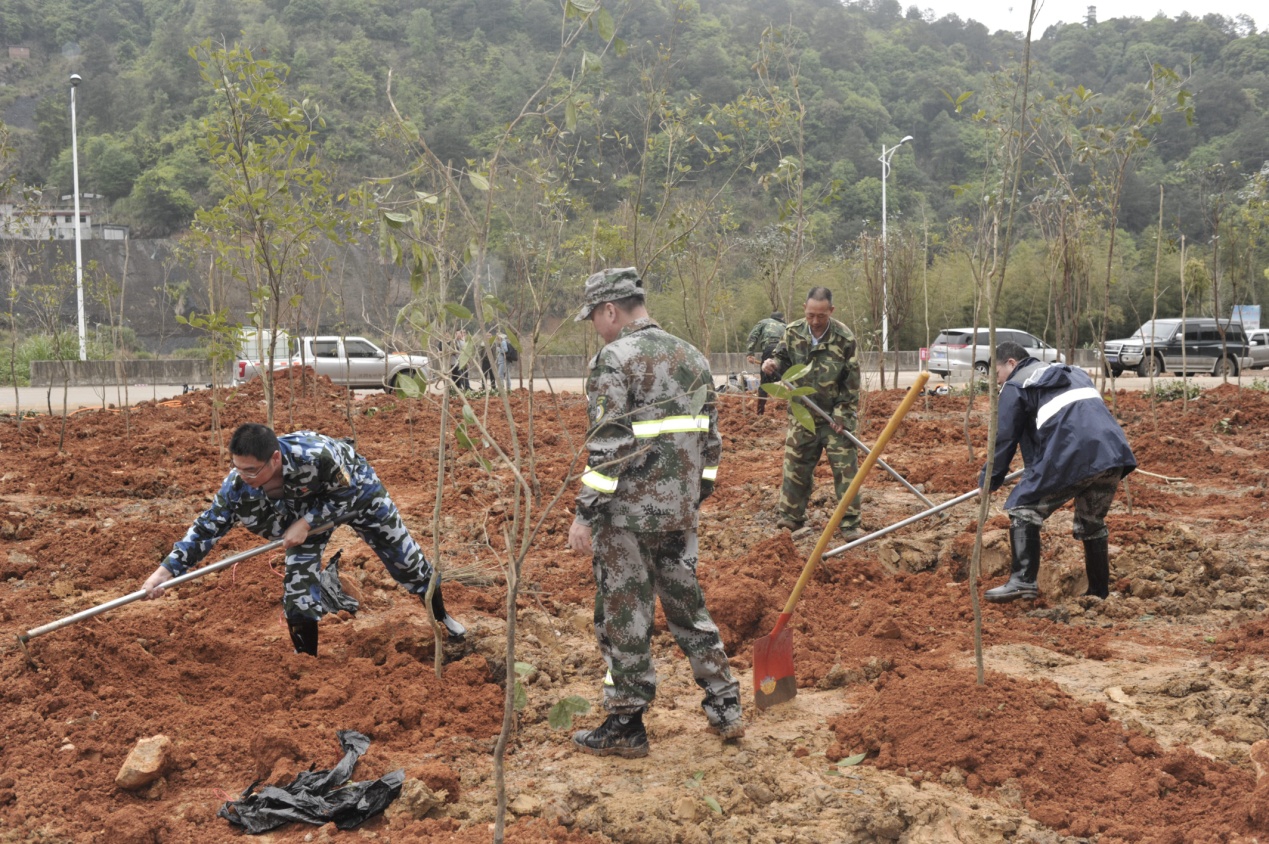 陽春三月雨，正是植樹好時節(jié)