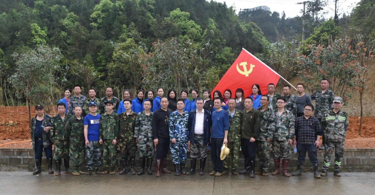 陽春三月雨，正是植樹好時節(jié)