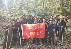 干好每一天|青山掛白我復(fù)綠，無私奉獻金森人——資源保護部義務(wù)突擊隊工作記實