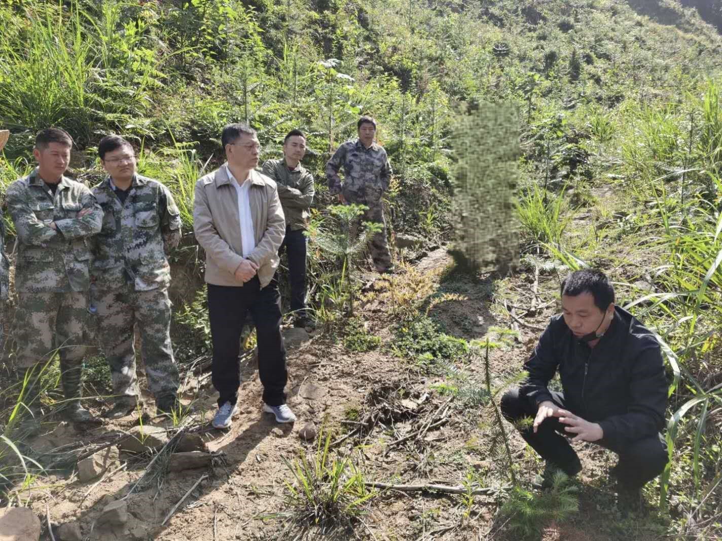 福建金森召開幼林撫育現(xiàn)場(chǎng)會(huì) 福建金森召開幼林撫育現(xiàn)場(chǎng)會(huì)