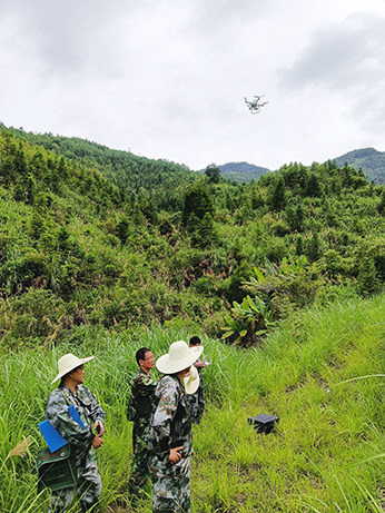 嚴把森林培育質(zhì)量關(guān)，譜寫資源培育新篇章