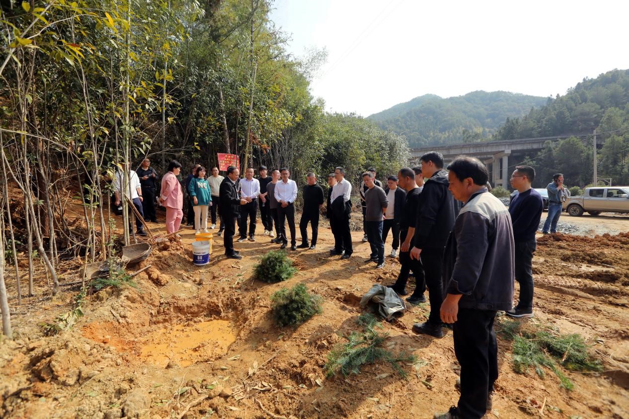 不負(fù)春光好，搶播萬畝林 ——將樂縣村企合作造林工作現(xiàn)場會在福建金森召開