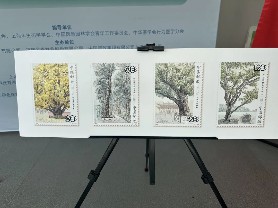 全國(guó)生態(tài)日來(lái)了！福建金森攜手舉辦上海“山海同普·杏好有你”活動(dòng)